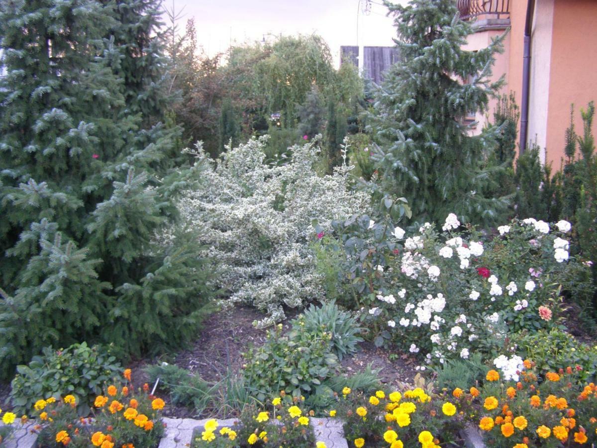 Gosciniec W Ogrodzie Apartment Brusy Bagian luar foto